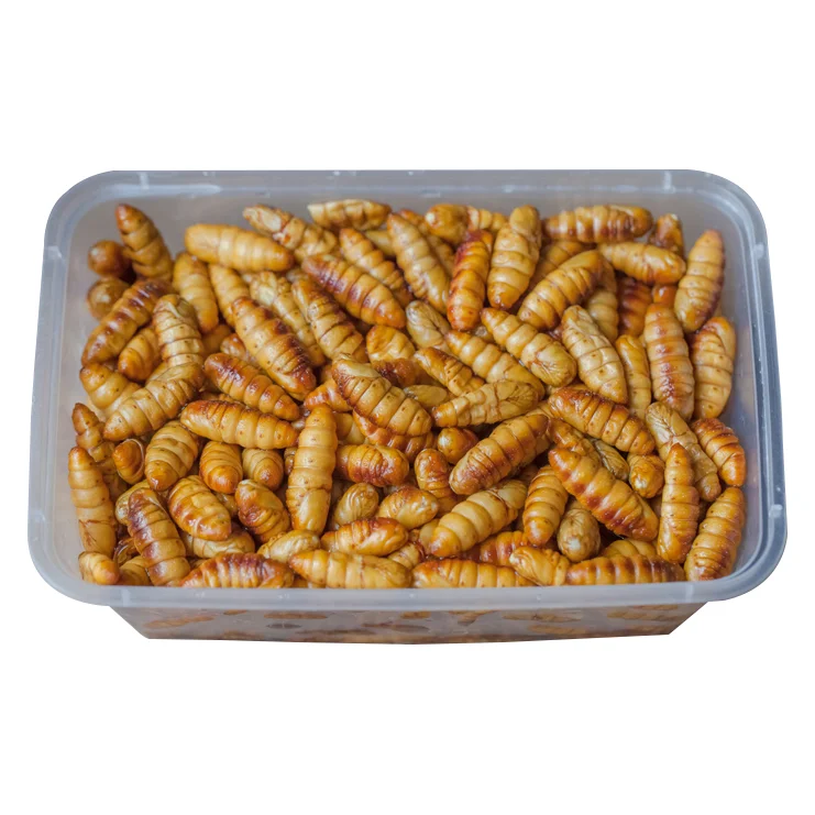 
Frozen IQF silkworm 