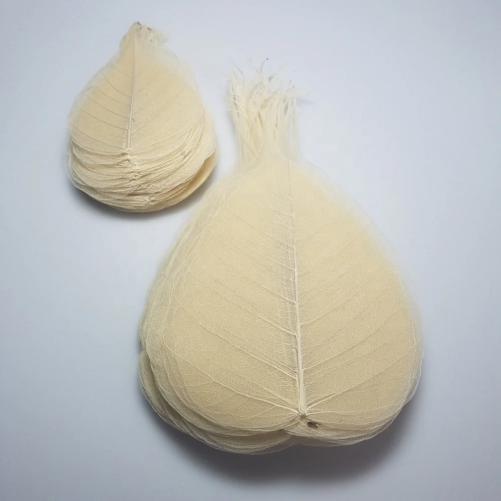 Small Medium Large Bulk Pack Natural Skeleton Leaves For Wedding Table Decoration