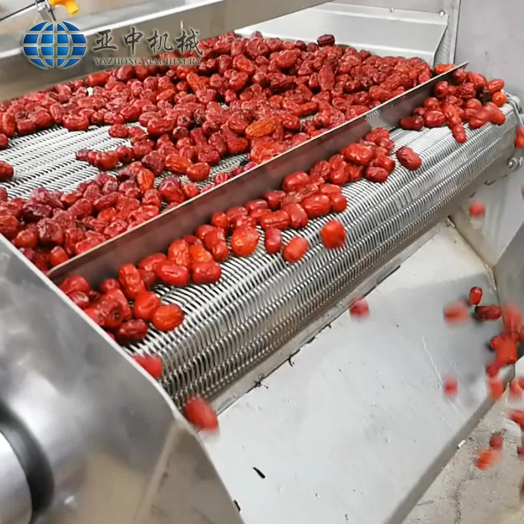  Yazhong новое состояние Автоматическая консервированная овощерезка kimchi стиральная производственная