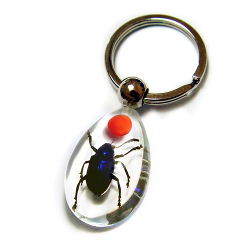 Cool Real Insects Scorpion Resin Specimen Keychain Keyring Custom Make Factory Price Mix Order Promotional Educational Gift