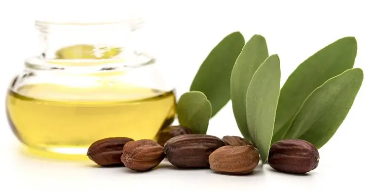 Private Label Skin Care Beard Moisturizer for Hair Skin Jojoba Oil Organic 100% Pure Carrier