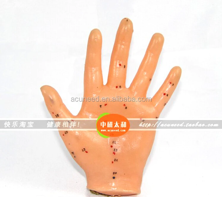Chinese Acupuncture hand model 13cm Human body acupuncture point model