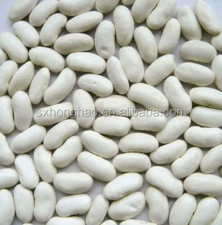 Оптовая продажа низкая цена экстракт белой фасоли порошок