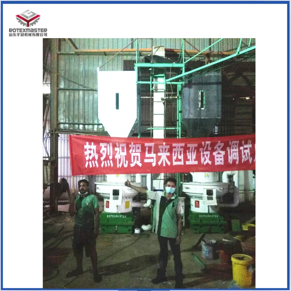 Turkey Hot Sale Complete Wood Pellet Line, Biomass Pellet Machine Made in China