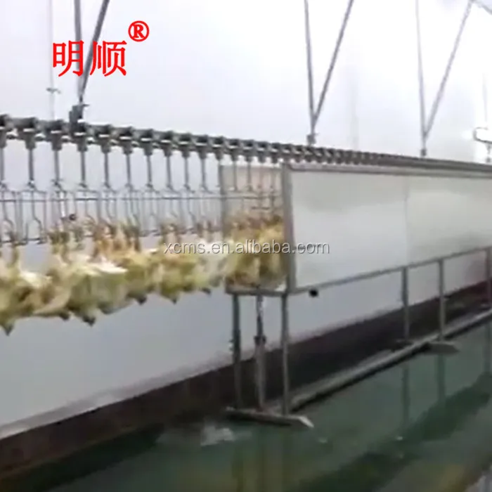 halal chicken slaughter and abattoir machine line for chicken boiler farm