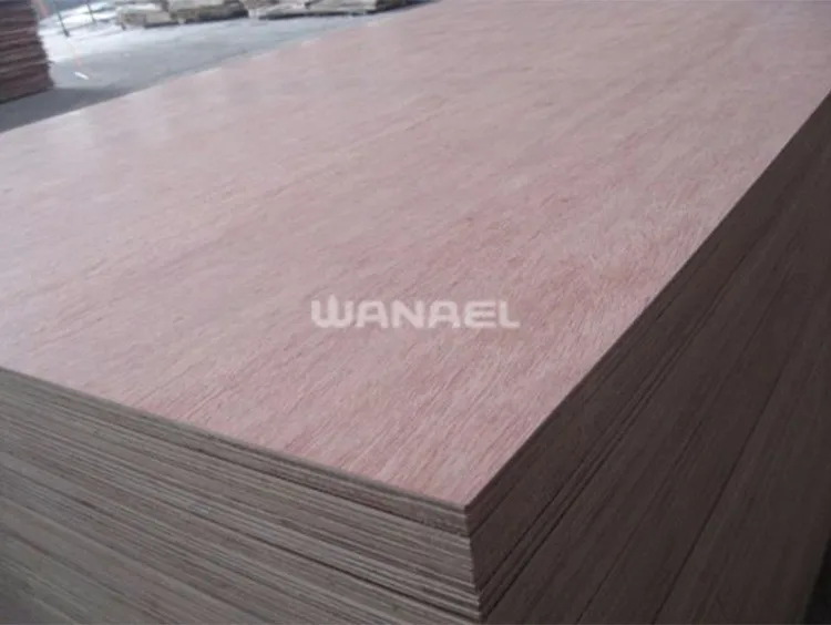 Wanael 18Mm Marine Plywood Board
