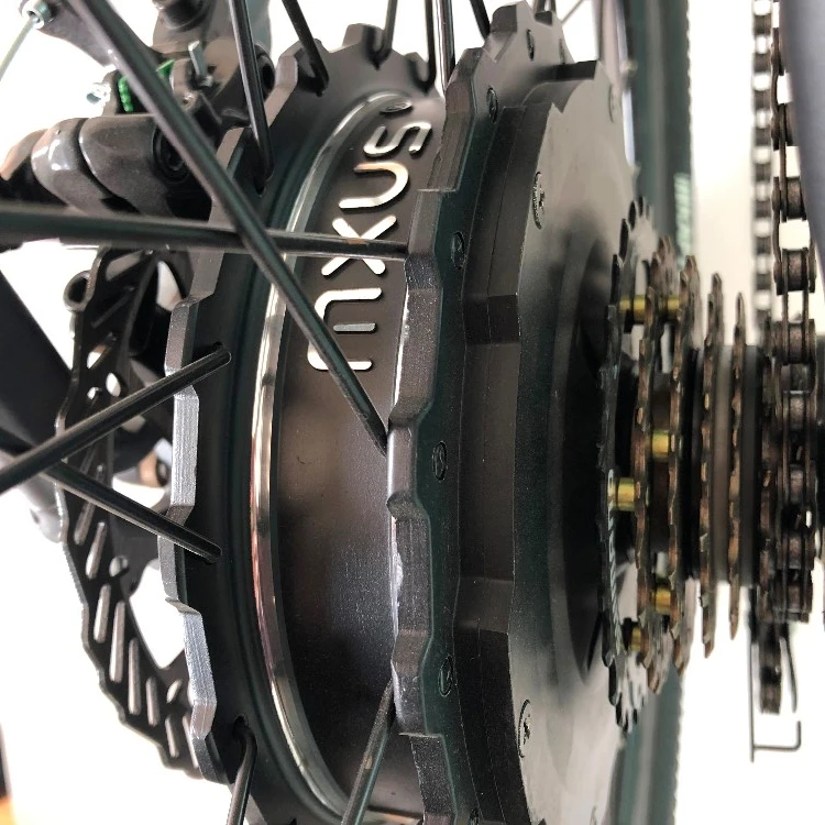 
High power electric bike,48v 1000w/1500w dc electric motor 