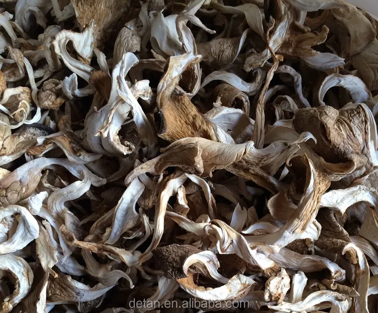 
Detan Dried Oyster Mushroom 