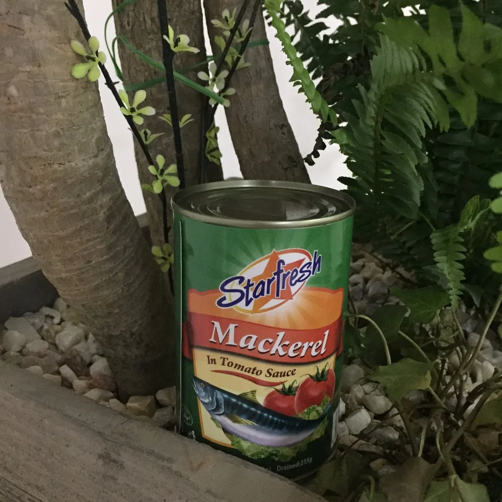 delicious canned mackerel in tomato sauce