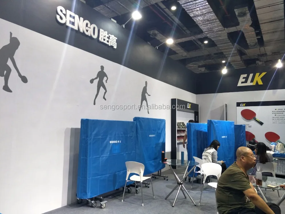 Table Tennis Table/Cheap Sale Ping Pong Table/Tennis Table without Wheels