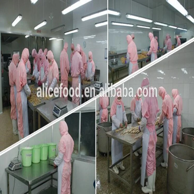 Wholesale price dried delicious China popular VF Okra for sale