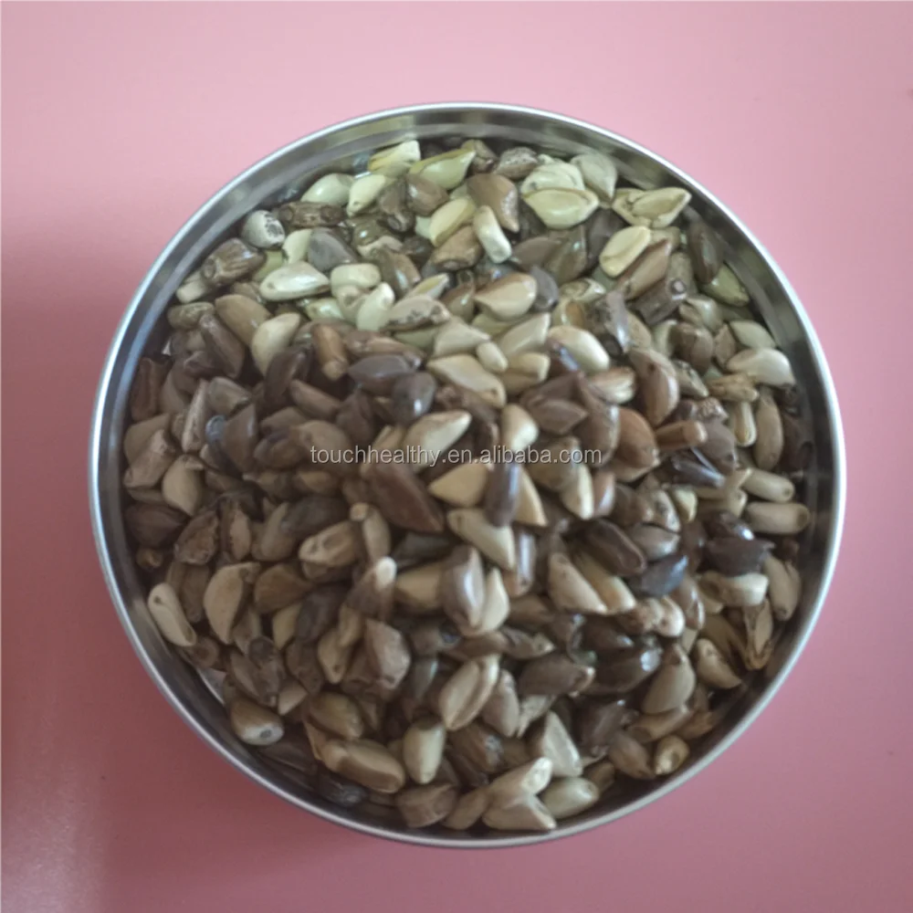 2021 Touchhealthy supply Hybrid Mexico corn grass seeds with Strong growth  1kg/bags