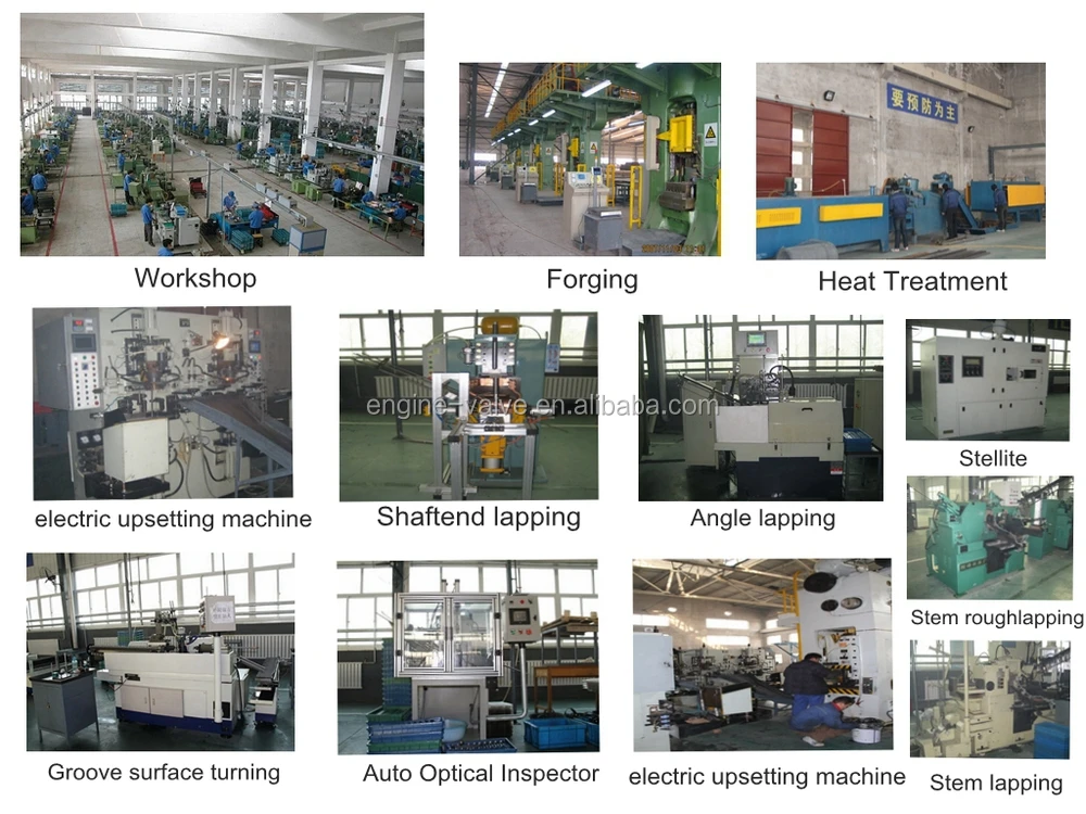 intake & exhaust valve for VOLVO TD61 TD100