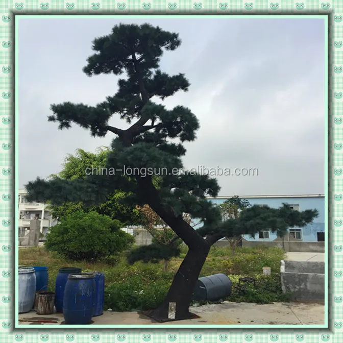 LSD-1222517 Лучшее качество высокая имитация искусственный декоративные сосна