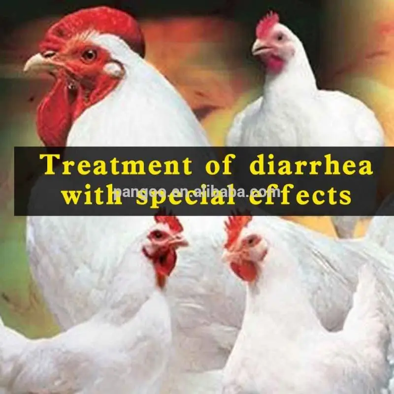 
POL-03 PANGOO , Probiotic feed for broiler 