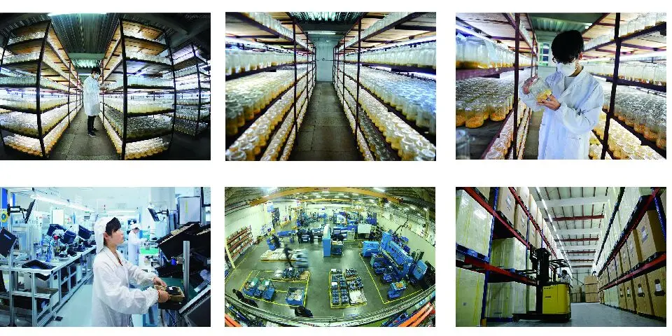 
Chlorogenic acid Powder 100% Green coffee bean extract powder 327-97-9 