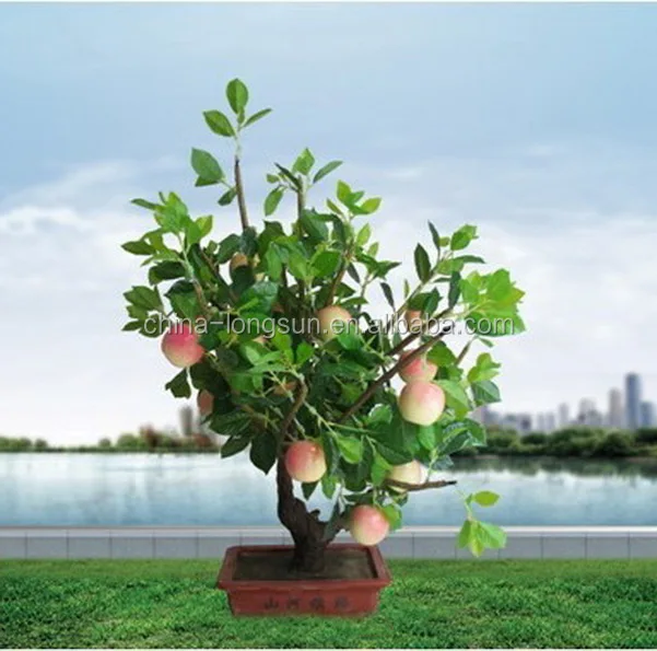 Lsws15120805 оптовая продажа Новый стиль искусственные открытых яблоня для сада
