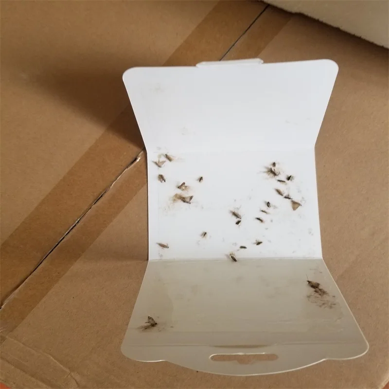 Clothes Moth and Pantry Moth Pheromone Glue Traps Paper material 29.7x11cm 1pcs per foilbag 6pcs per color box