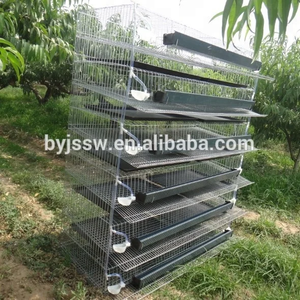 6 tier layer egg quail cages/metal quail cage for sale in philippines