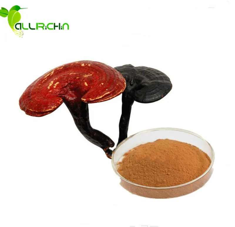 natural Ganoderma Lucidum(reishi) Mycelium, Polysaccharides 20%-30%