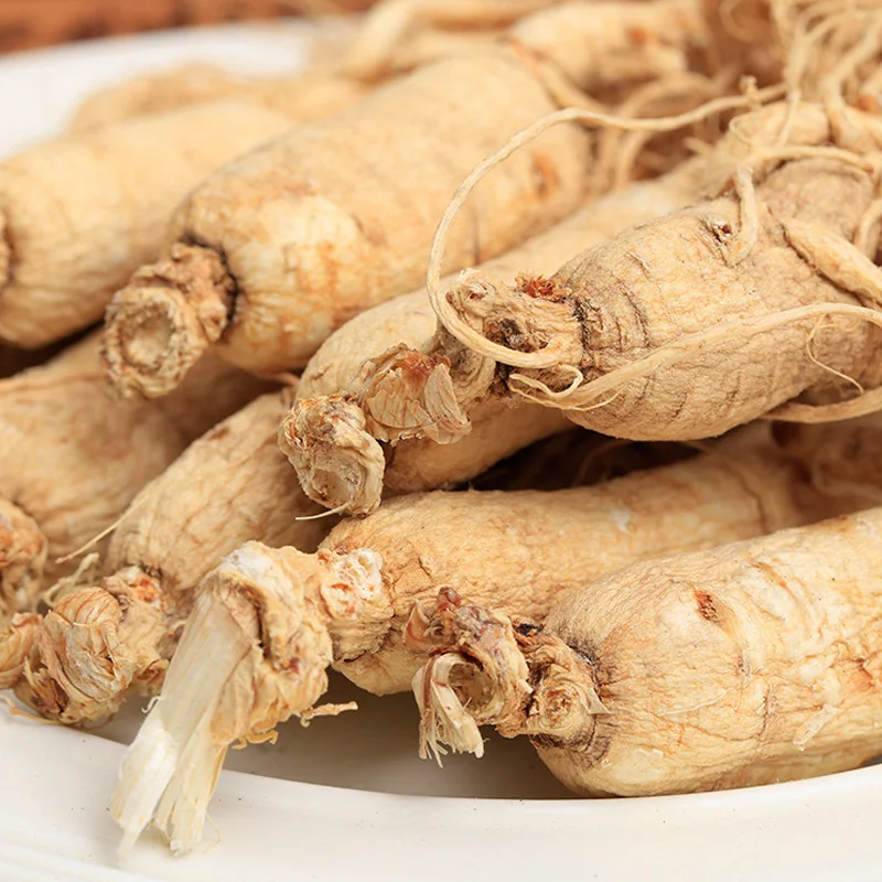 China supplier Hot panax ginseng rootdried ginseng root  korean ginseng