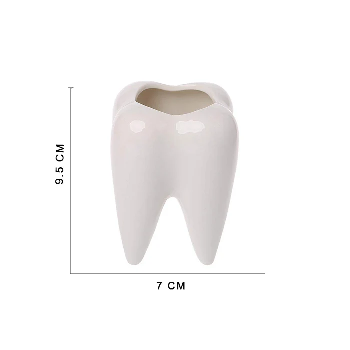 Ceramic Succulent Plant Pots with Tooth Shape