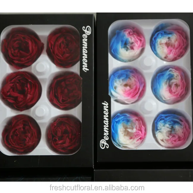 Promotion preserved austin roses stabilized austin rose at discount