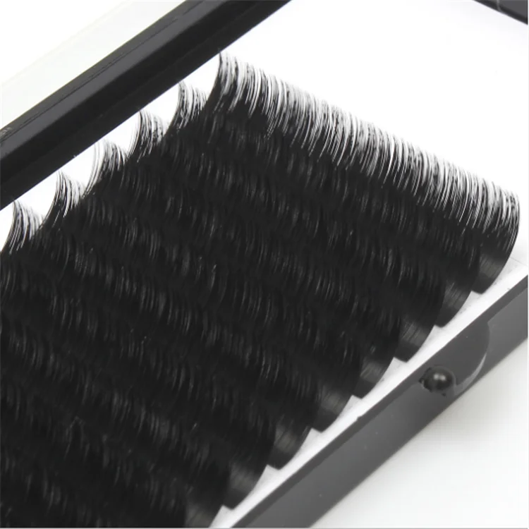 The Rapid Volume Quick Easy Fan Lashes Eyelash Extensions