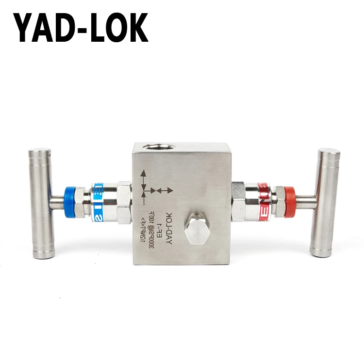 
YAD-LOK China Supplier High Pressure 6000Psi Ss304 Air Valve Manifold 2 Ways 