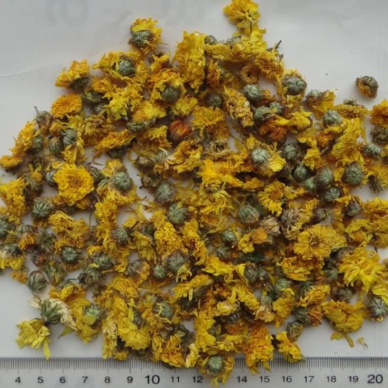 
Chrysanthemum/Perennial chamomile/Huang jin ju 