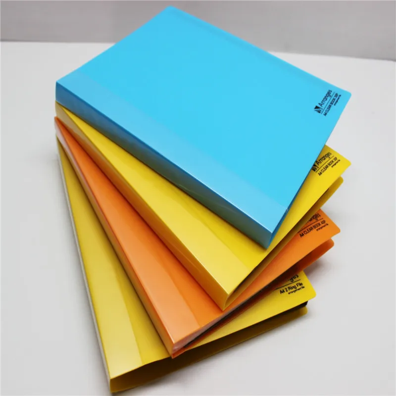Custom designs A4 display book (Manufactory)
