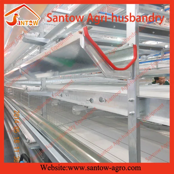 wholesale live birds trap cage on sale