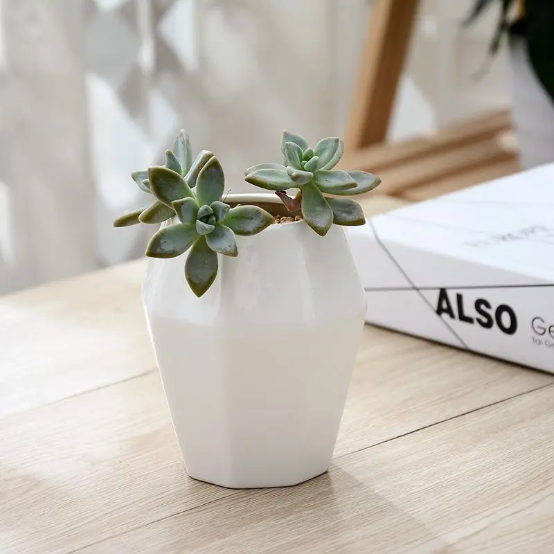 
Anise shape flowerpot succulent flowerpot simple and beautiful retail flowerpot 