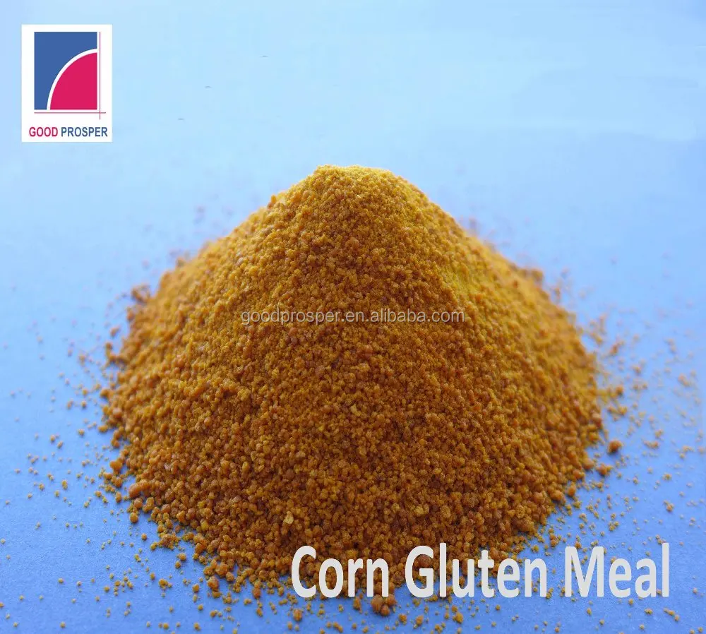 
Animal Poultry Feed Corn Gluten Meal 60% Protein 