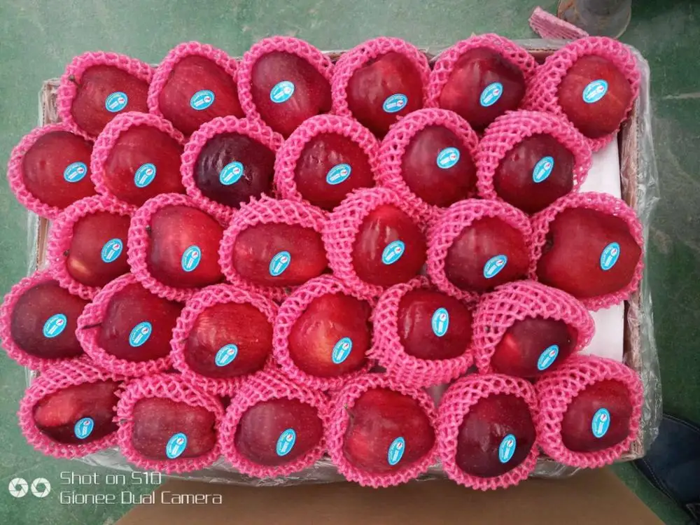 Свежие Яблоки Tianshui hu@ Fuji, поставщик Яблоков в Ганьсу