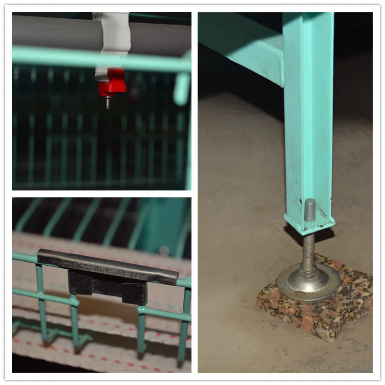 Zhengzhou Livi Egg Layer Chicken Cage for farm equipment with chicken house design