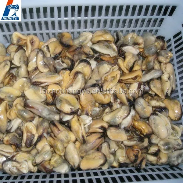 
Frozen mytilus edulis mussel meat for canned mussel 