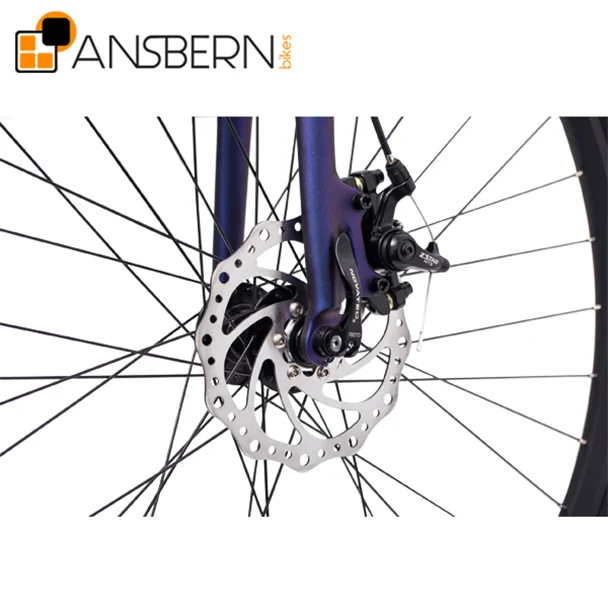 
2019 Ansbern High End City Bike 7 Speed Belt Drive City Star Bike Bicycle 