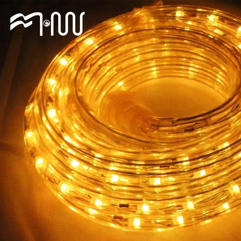 RGB Plastic outdoor festival led strip light rope light water tube light