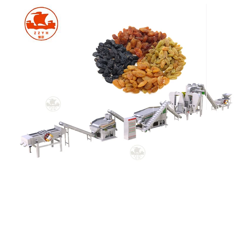 Stainless Steel Raisin Cleaning Drying Production Line Dried Grapes Production Line