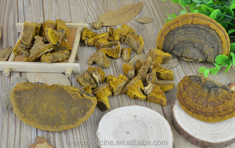 Желтый цвет натуральный уронус Ванин выращивание на популе давидианы