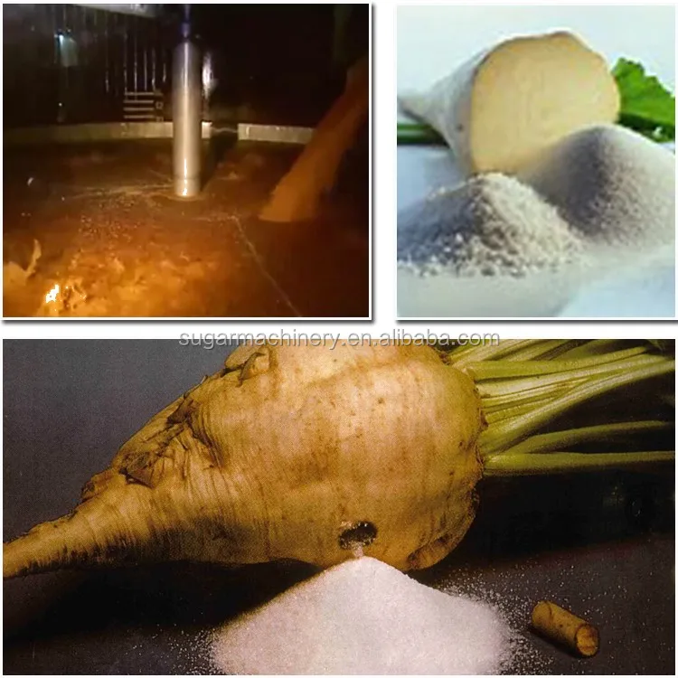 
hot sell ICUSMA 45 crystal white sugar plant from beet 