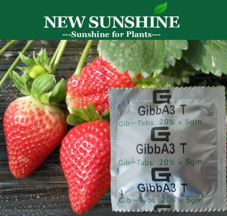 Gibberellic acid GA3 tablet organic growth stimulants for plants