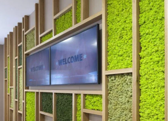 wholesale hot sale preserved dried sheet moss stabilized