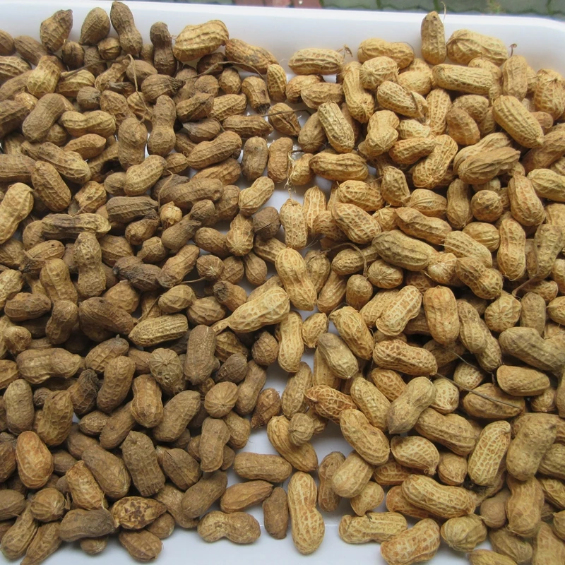 Automatic Coffee Peanut Nut Sorter/Color Separator/Beans Sorting by Chinese Factory