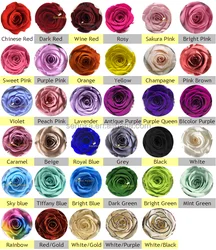 Wholesale Rose Bear Lovely Teddy Bear with A Preserved Fresh Eternal Rose Flower For Valentine Day Gift