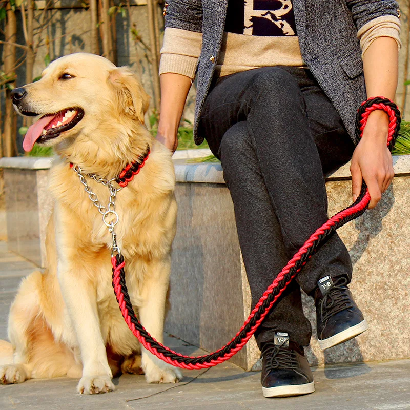 2021 Upgraded two-color collar hachiko braided  dog leash