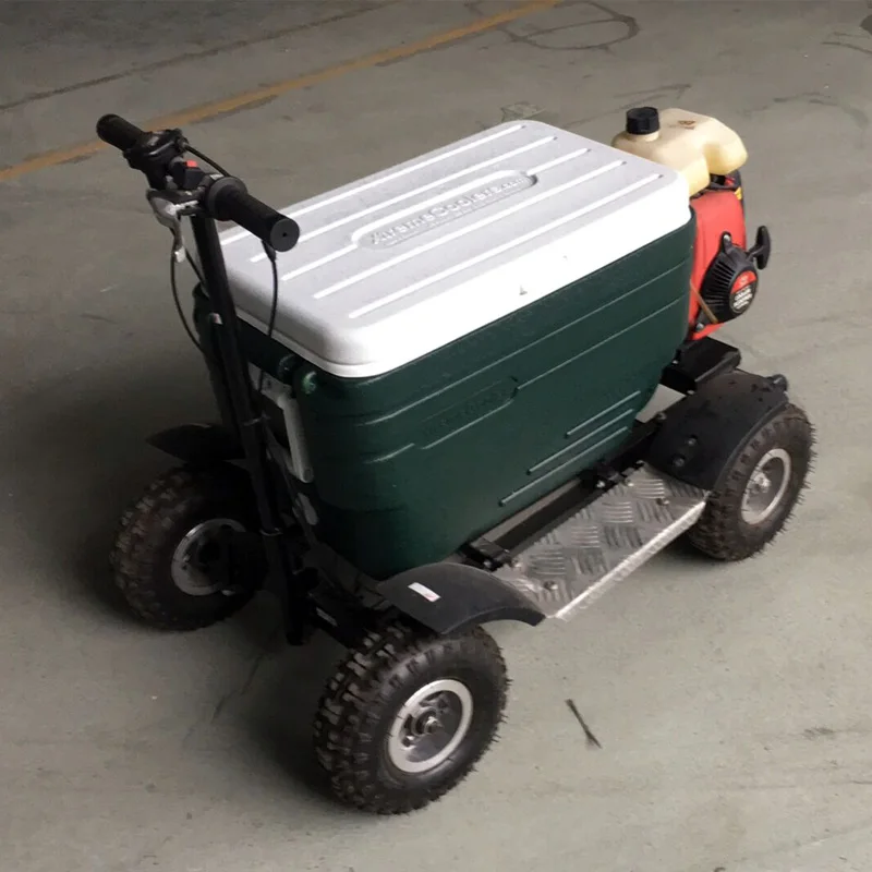 Factory Wholesale Price Gasoline Power 40cc Ride On Cooler Scooter For Adult Outdoor Using