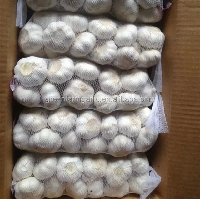 garlic seeds for sale galic