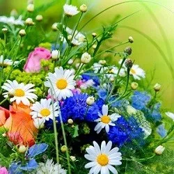 Multi Warna Bunga Rampai Dan Bunga Kering Dalam Indah Vas Kaca Kerajinan Rakyat Hadiah Kerajinan Produk Pasar Grosir Indonesia